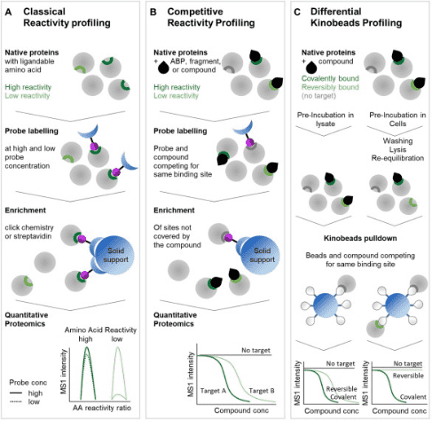 activity-based-protein-profiling10.png