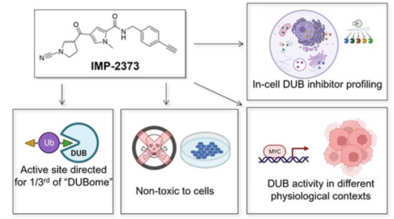 activity-based-protein-profiling13.png