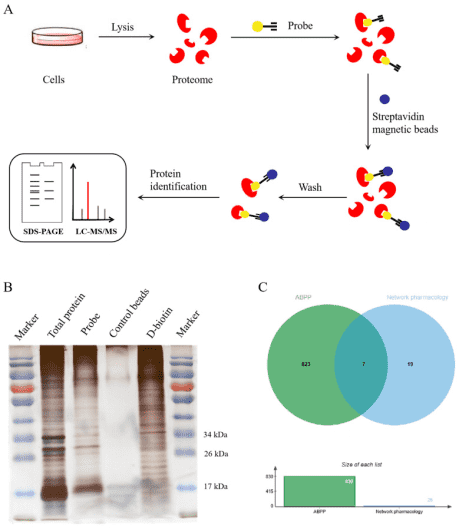 activity-based-protein-profiling14.png