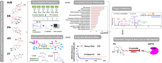 activity-based-protein-profiling15.png