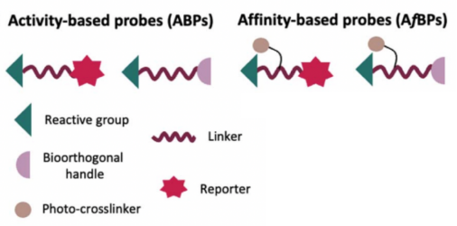 activity-based-protein-profiling2.png