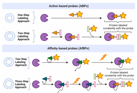 activity-based-protein-profiling3.png