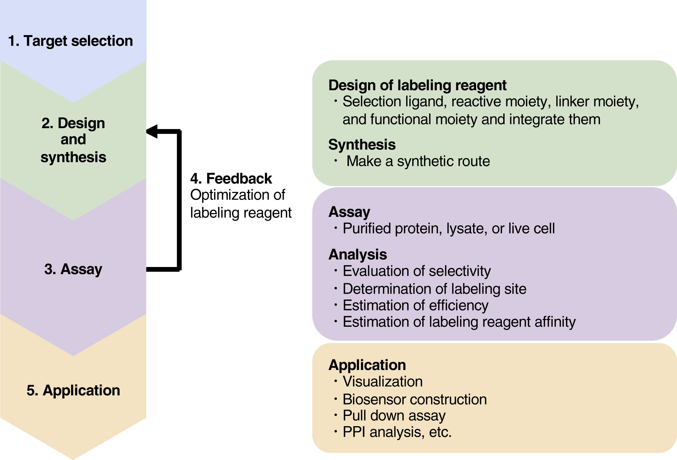 activity-based-protein-profiling4.png