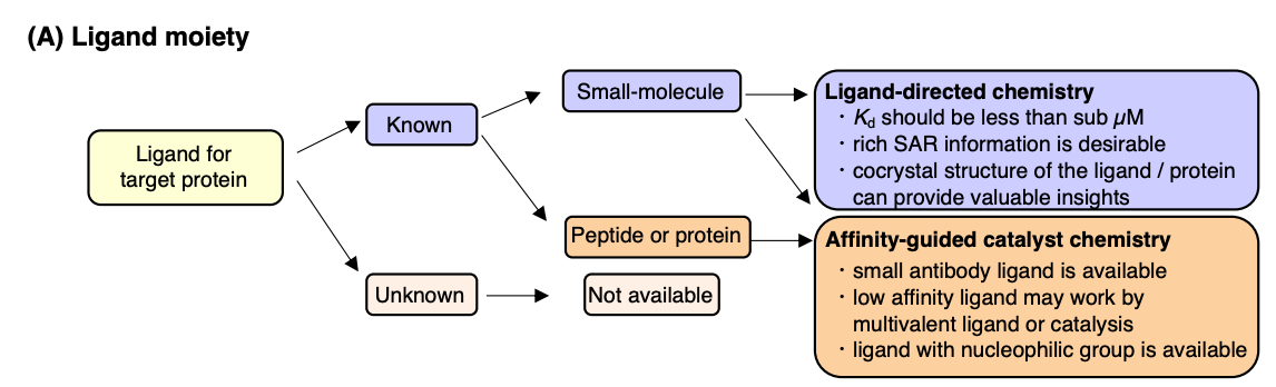 activity-based-protein-profiling5.png