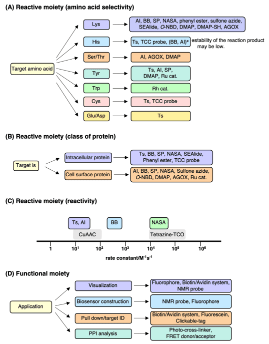 activity-based-protein-profiling8.png