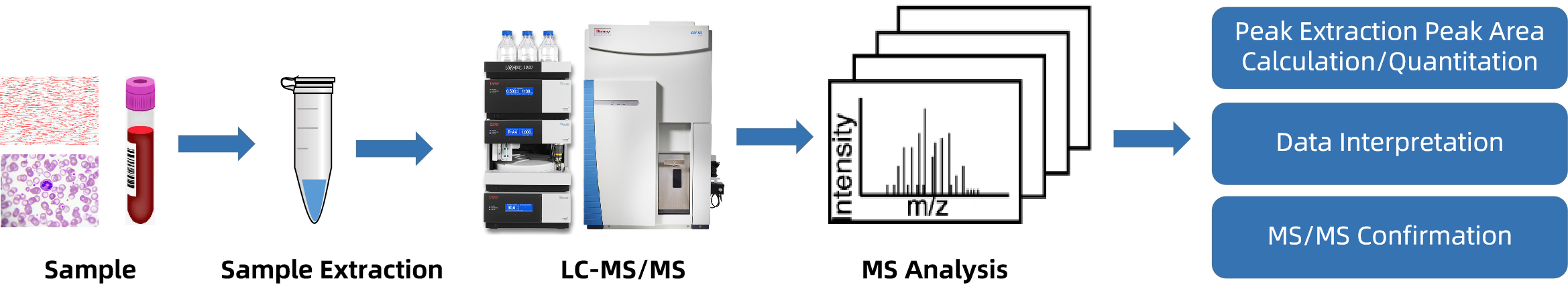 acyl-coas-analysis-service2.png