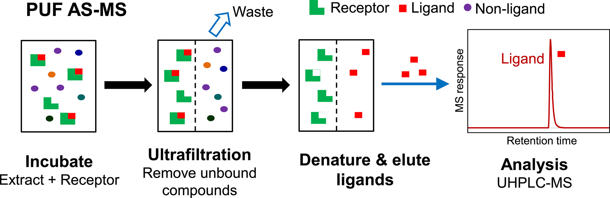 affinity-selection-mass-spectrometry-analysis1.png