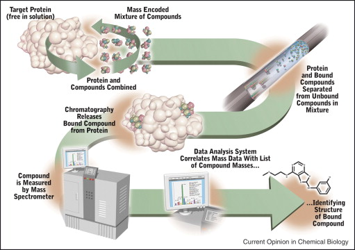 affinity-selection-mass-spectrometry-analysis10.png