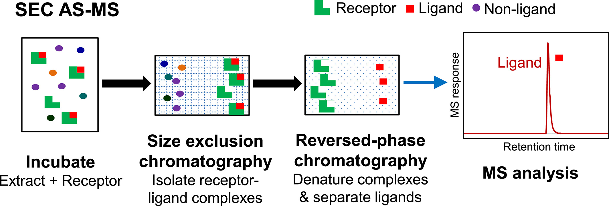 affinity-selection-mass-spectrometry-analysis2.png