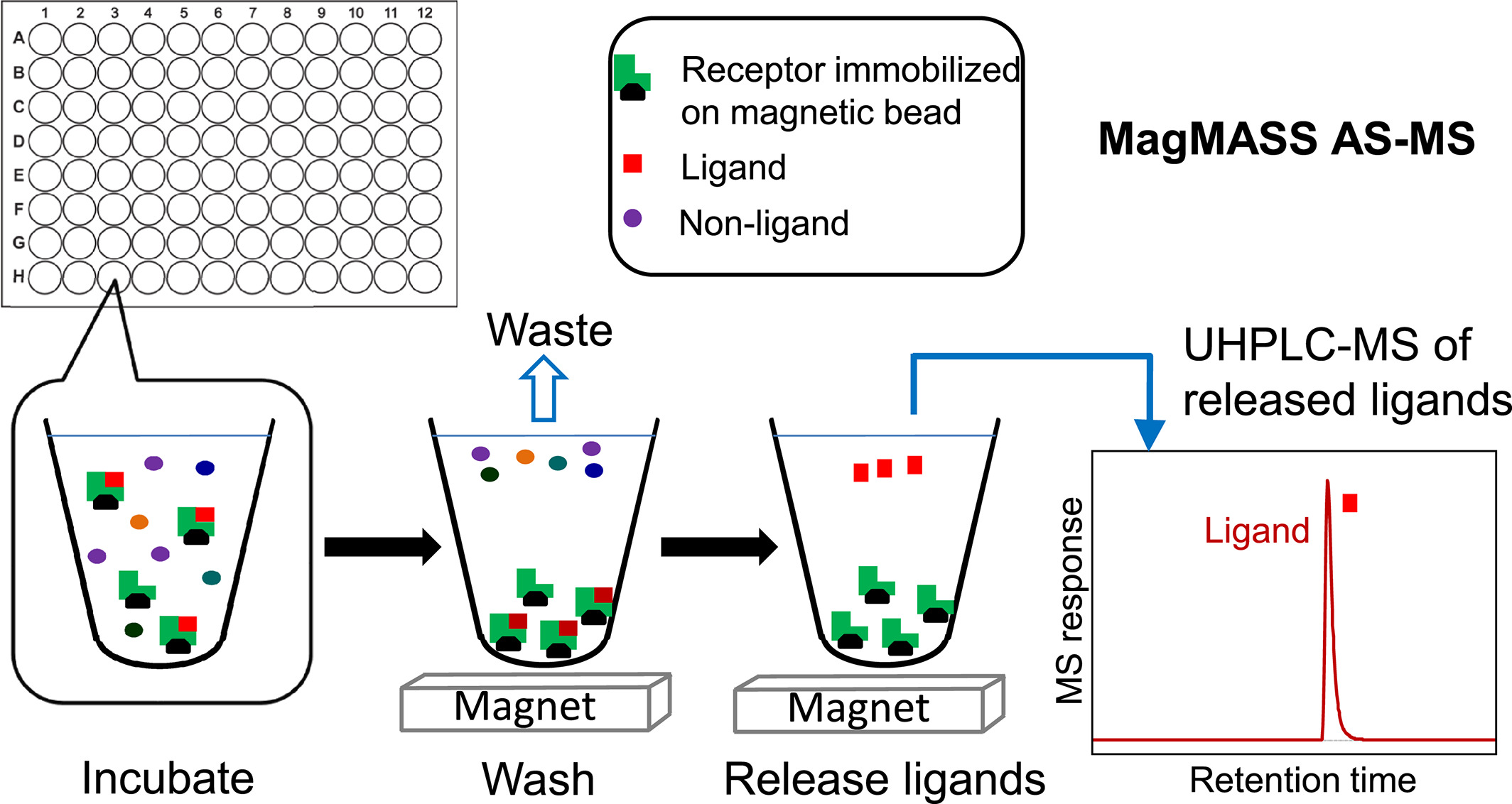 affinity-selection-mass-spectrometry-analysis3.png