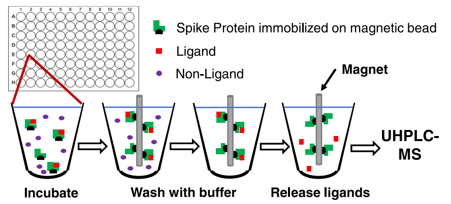 affinity-selection-mass-spectrometry-analysis5.png