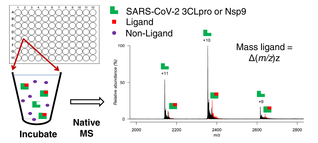 affinity-selection-mass-spectrometry-analysis6.png