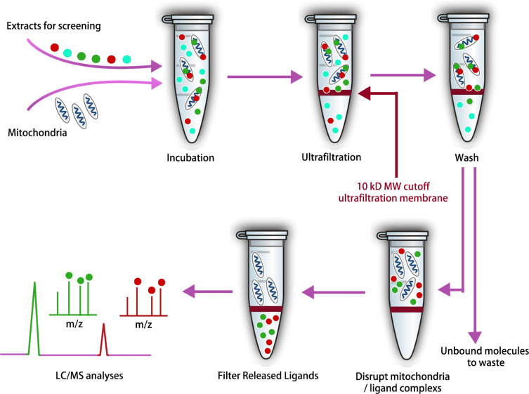 affinity-selection-mass-spectrometry-analysis7.png