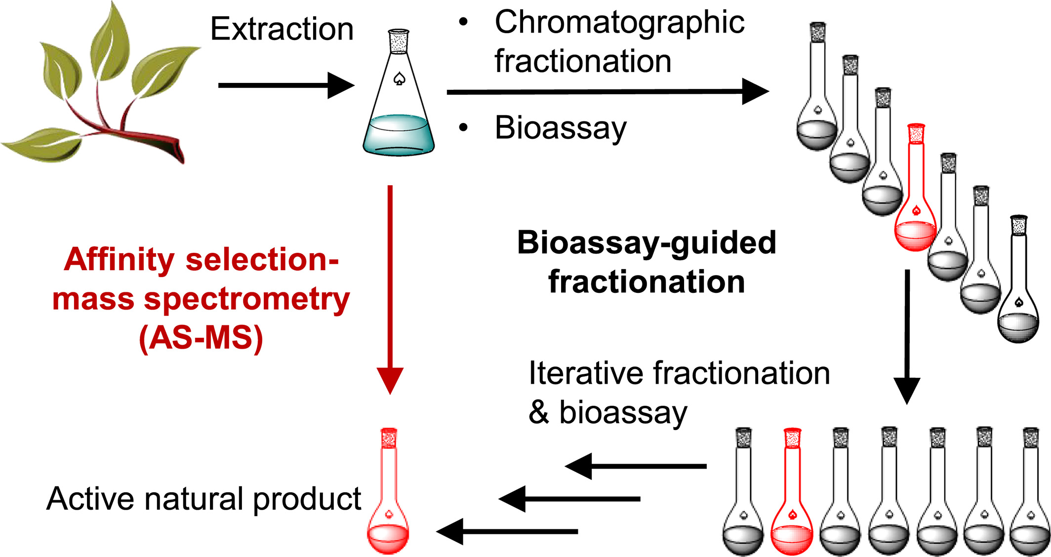 affinity-selection-mass-spectrometry-analysis9.png