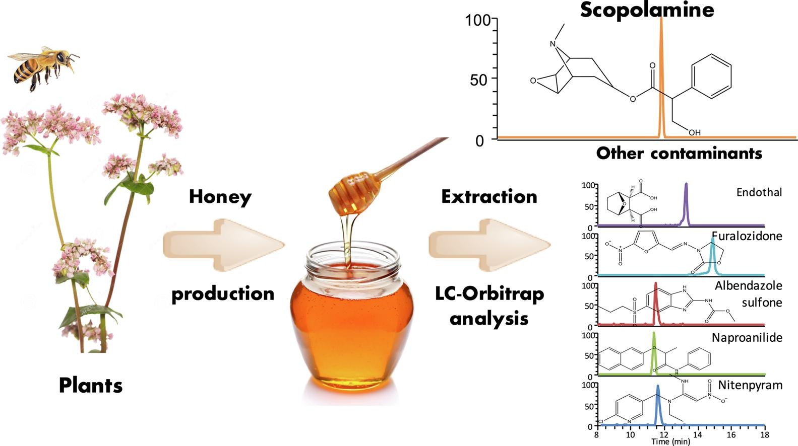 alkaloids-analysis-service1.jpg