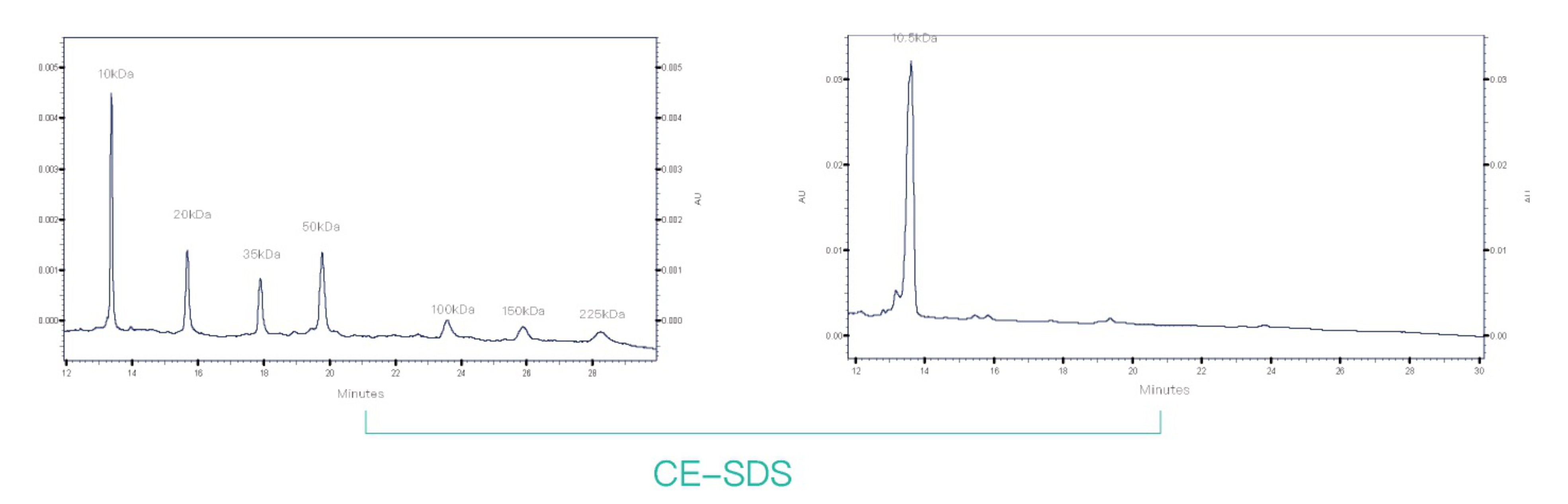 analysis-of-molecular-size-variability-based-on-ce-sds1.jpg