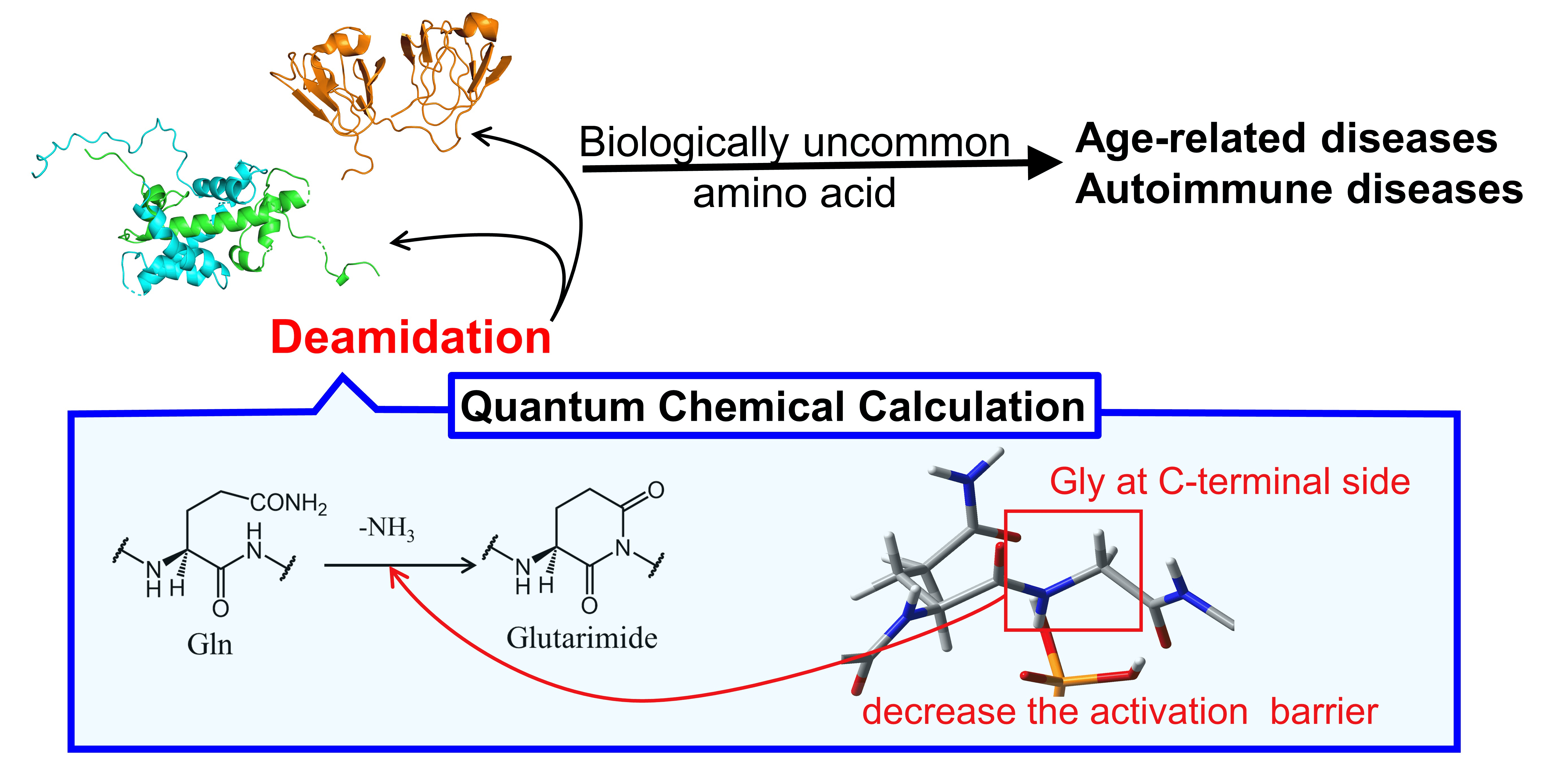 analysis-of-protein-deamidation-modification1.png