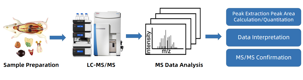 animal-untargeted-metabolomics-service1.png