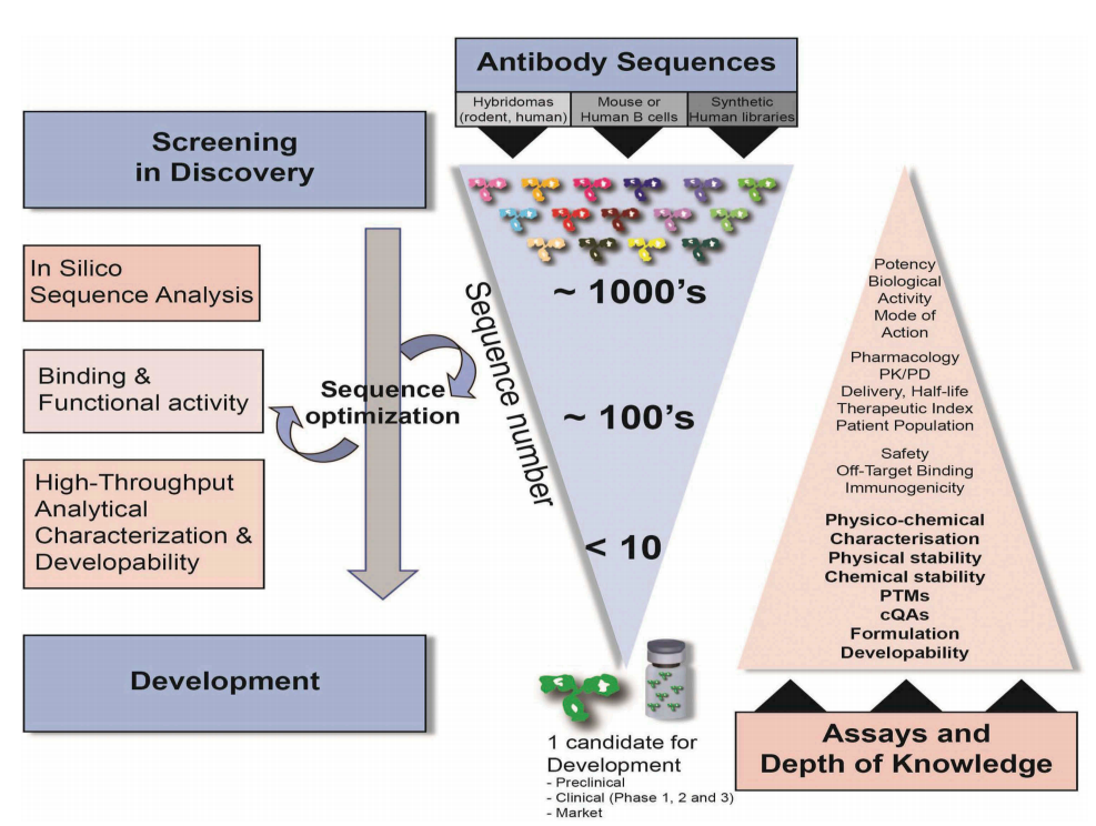 antibody-cdr-sequencing-service2.PNG