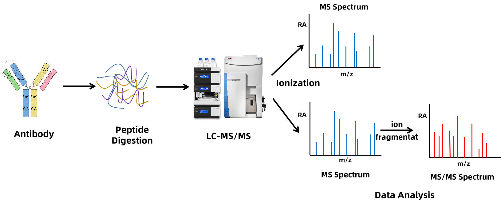 antibody-de-novo-seq-service2.png