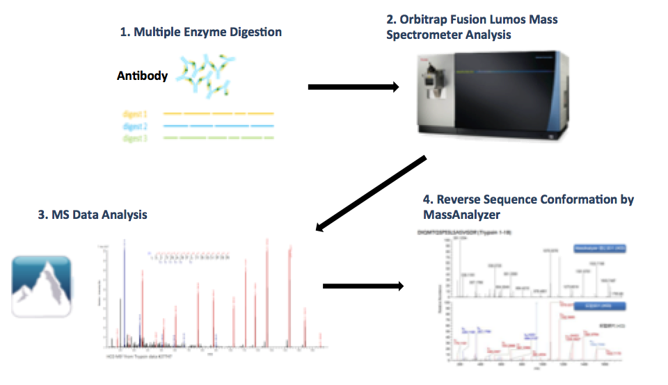 antibody-de-novo-sequencing-service1.png