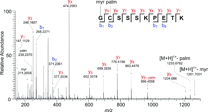 antibody-de-novo-sequencing3.png