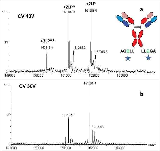 antibody-drug-analysis4.png