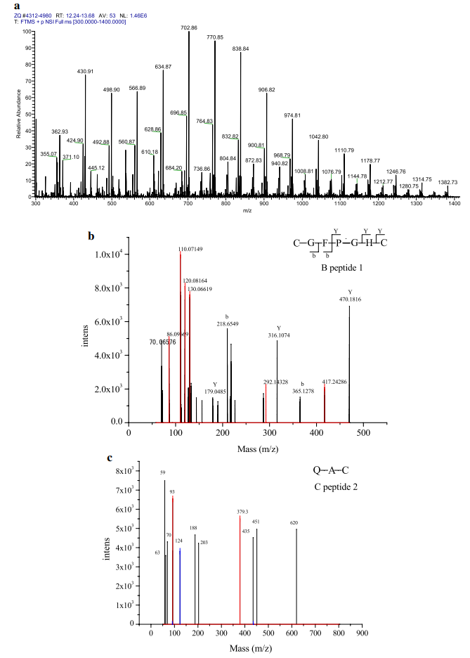 antibody-full-amino-acid-sequencing-service1.PNG