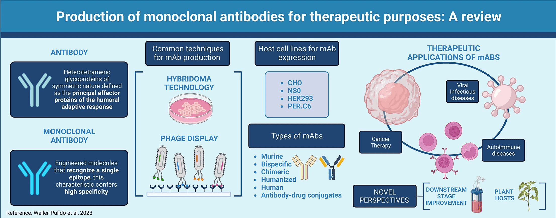 antibody-sequencing3.png