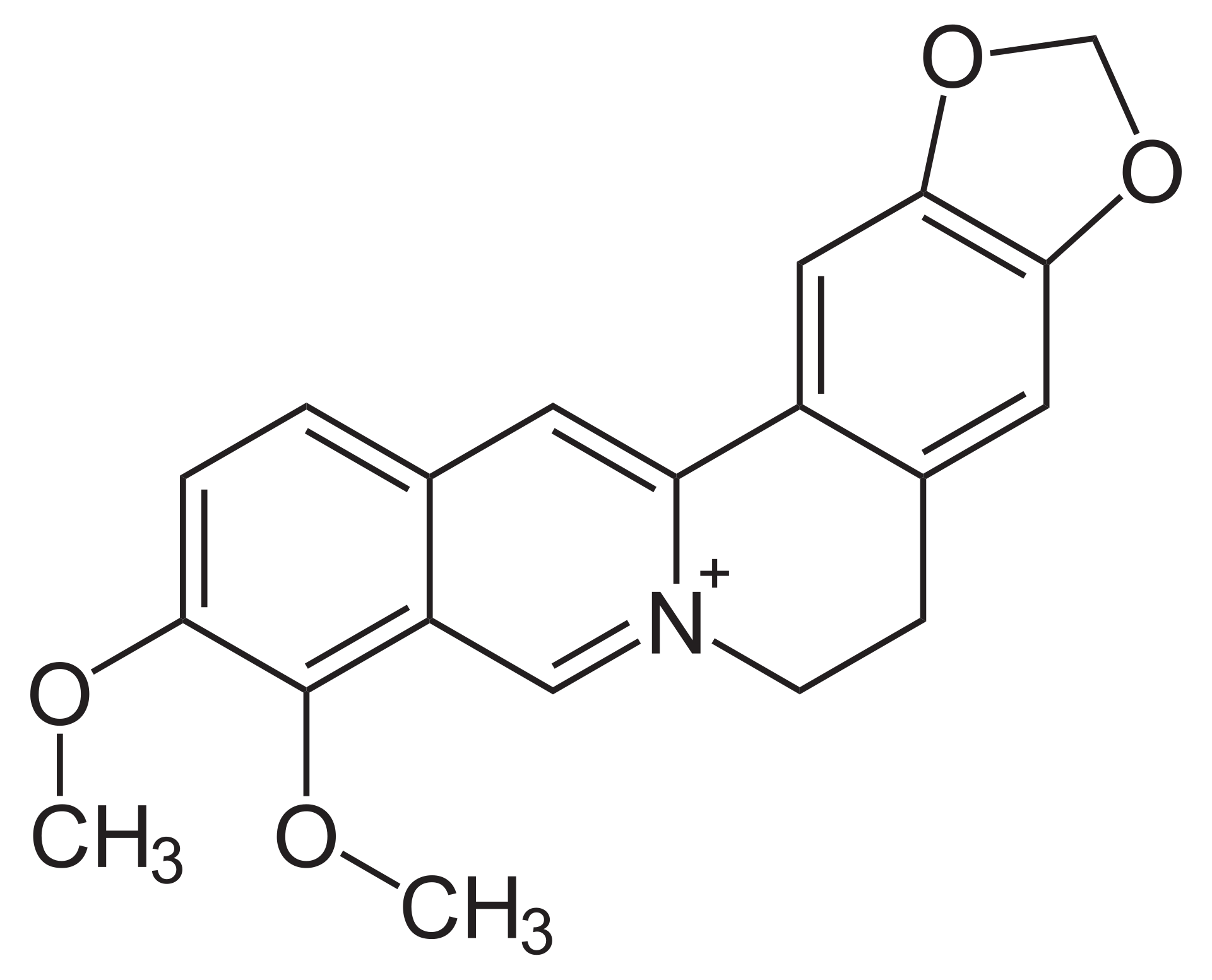 berberine-analysis-service1.png