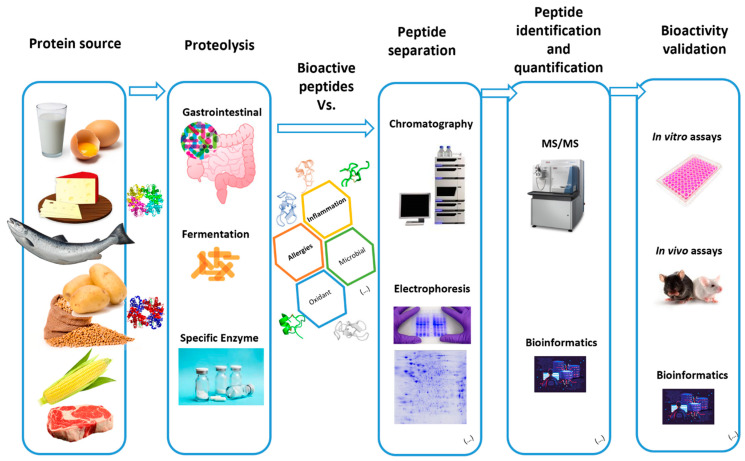 bioactive-peptide-component-identification-and-quantification2.jpg