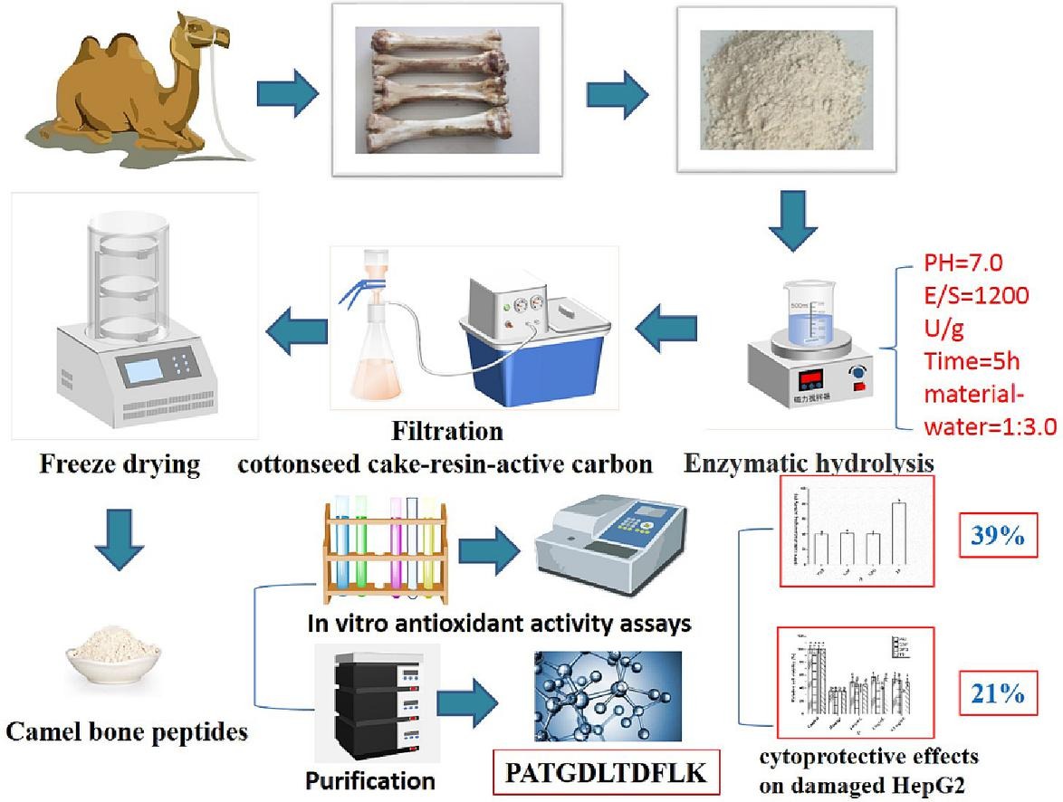 bioactive-peptide-component-identification-and-quantification4.jpg