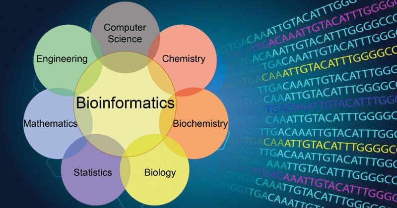 bioinformatics-analysis1.png