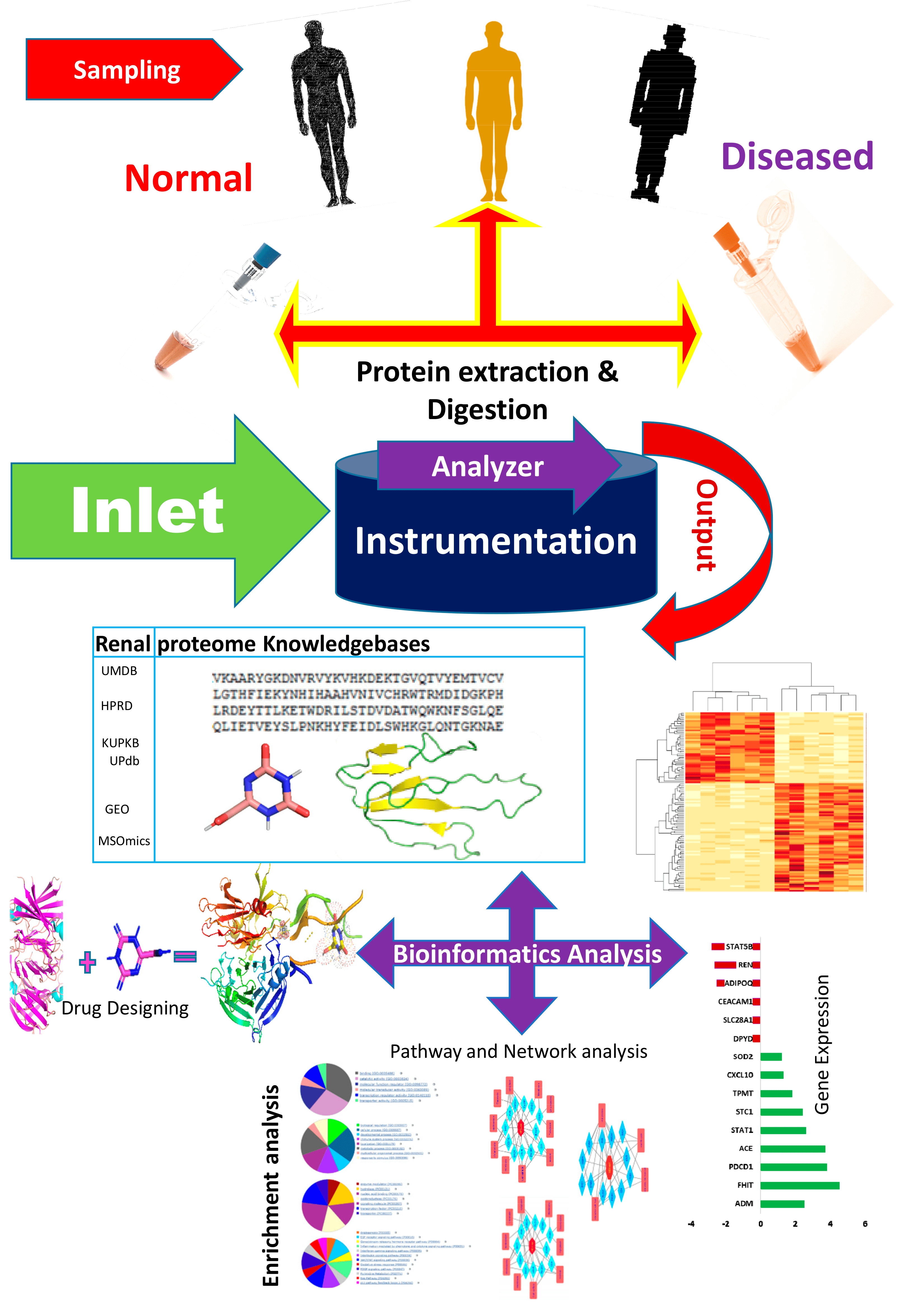 bioinformatics-service1.png