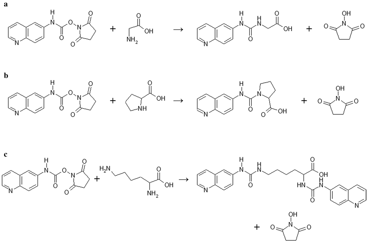 biopharmaceutical-amino-acid-analysis-service1.PNG