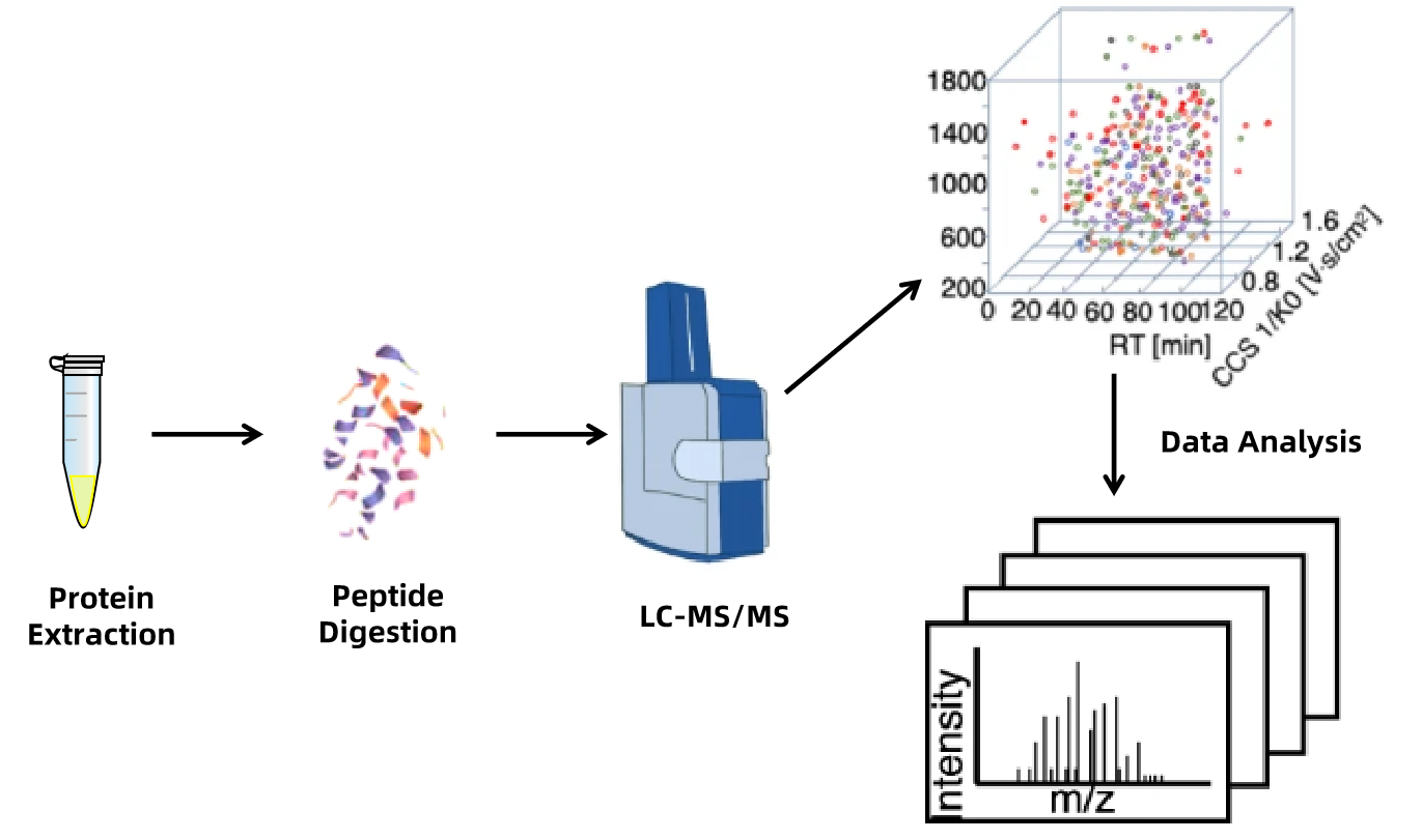 biopharmaceutical-peptide-mapping-analysis-service1.png