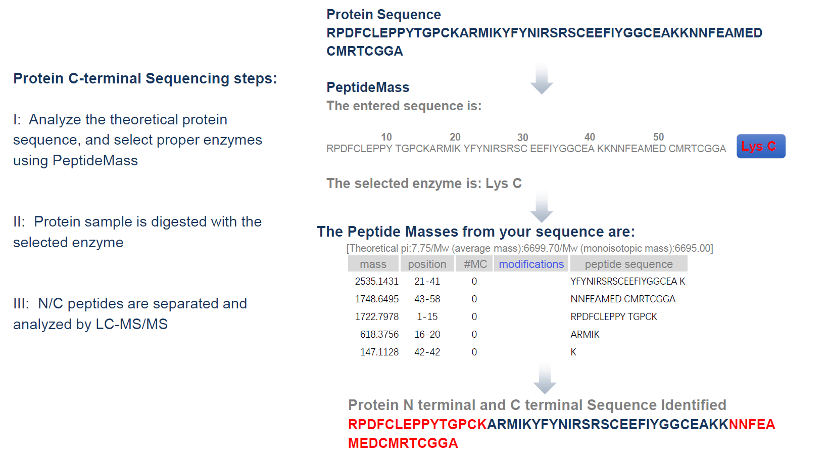 c-terminal-sequencing-service1.png