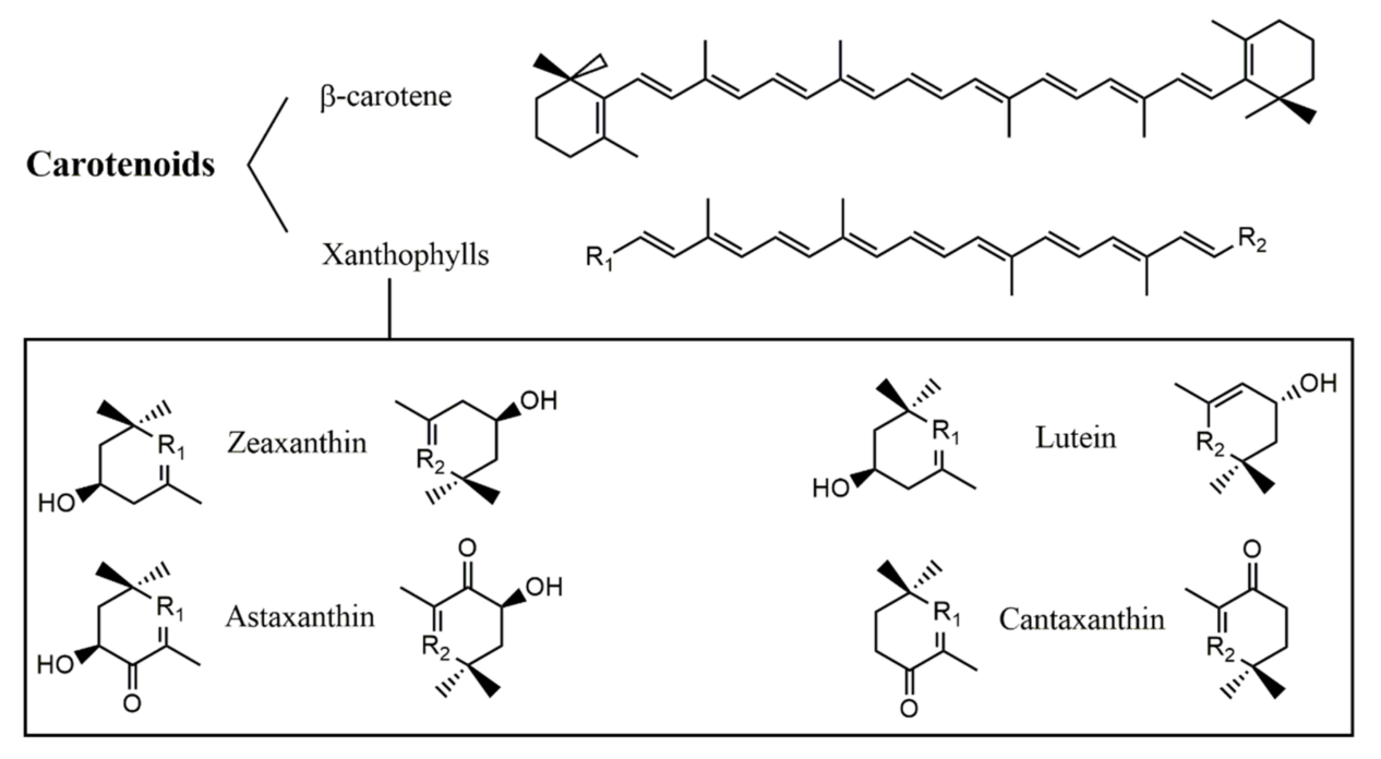 carotenoids-analysis1.png