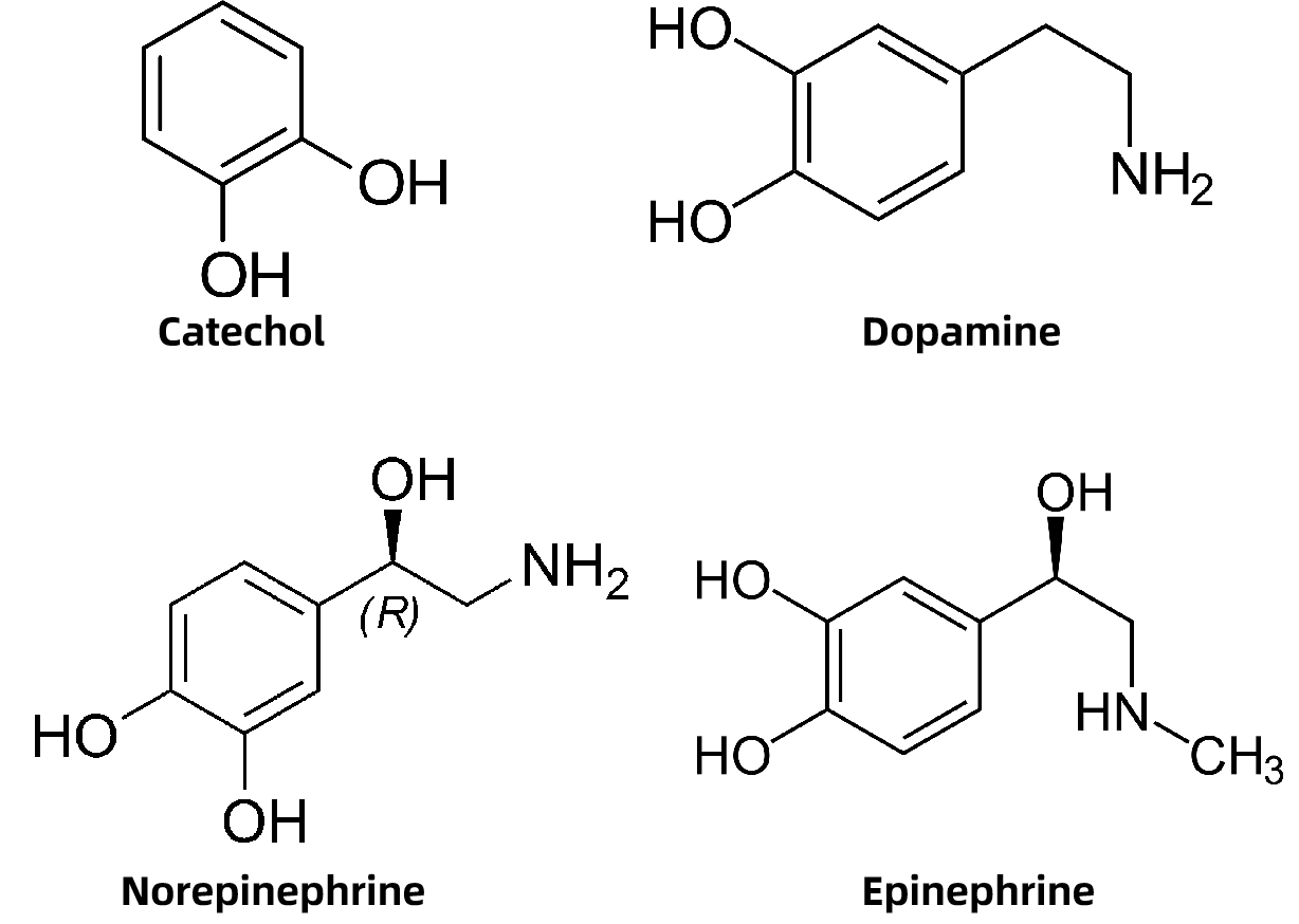 catecholamine-analysis-service1.png