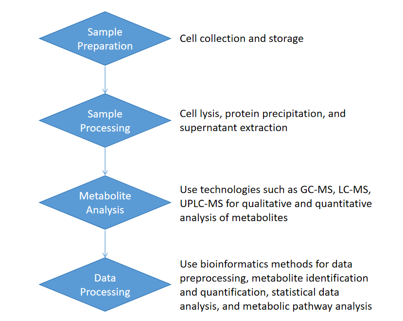 cell-metabolomics-service2.png