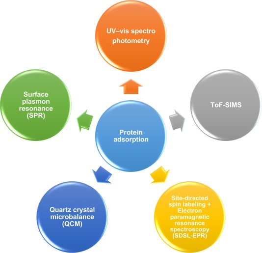 characterization-of-protein-corona4.png