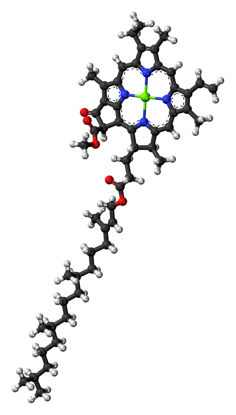 chlorophyll-a-analysis-service1.png