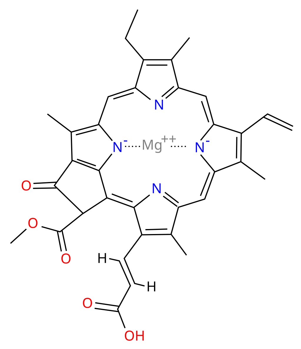 chlorophyll-c1-analysis-service1.png