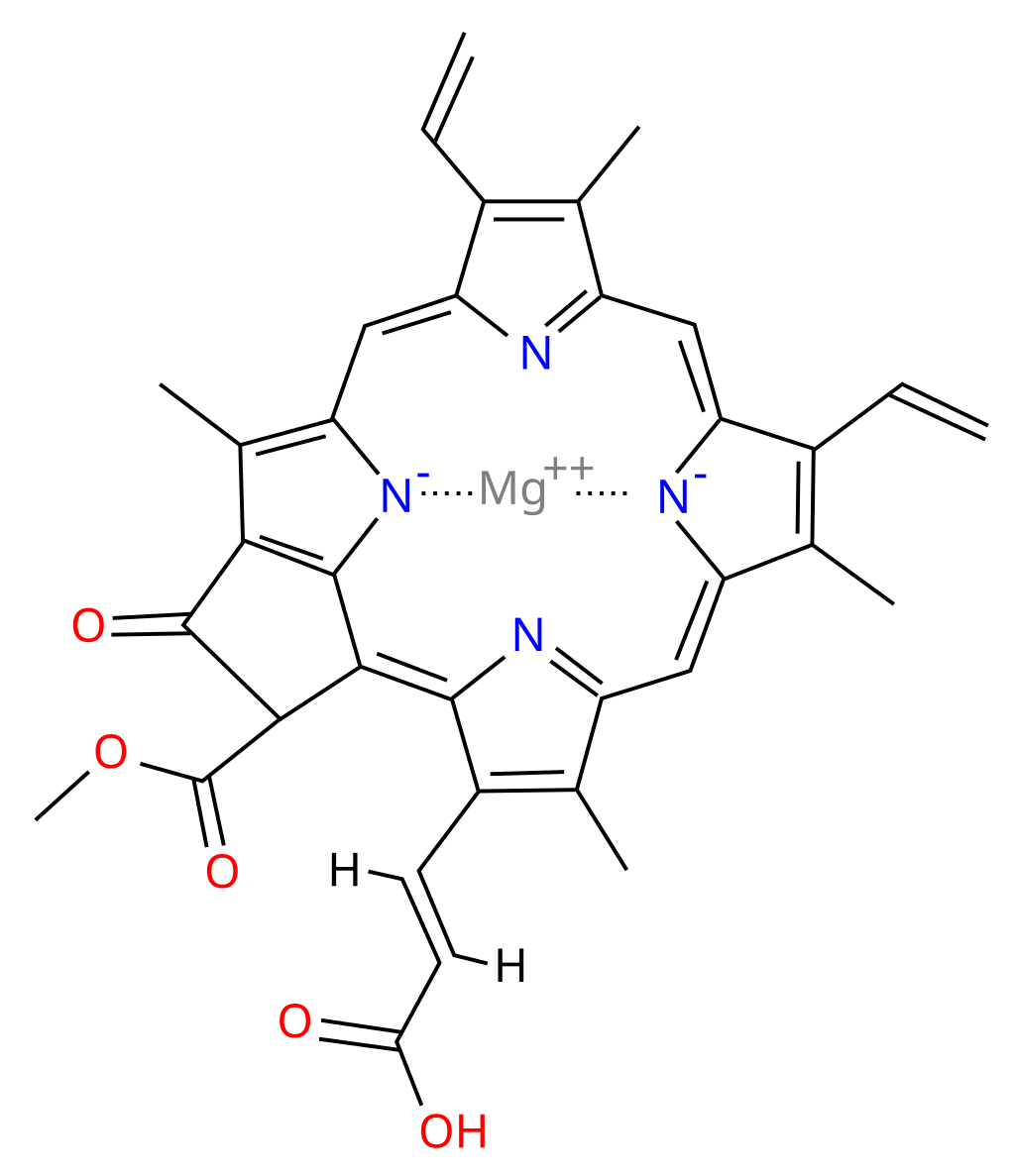 chlorophyll-c2-analysis-service1.png