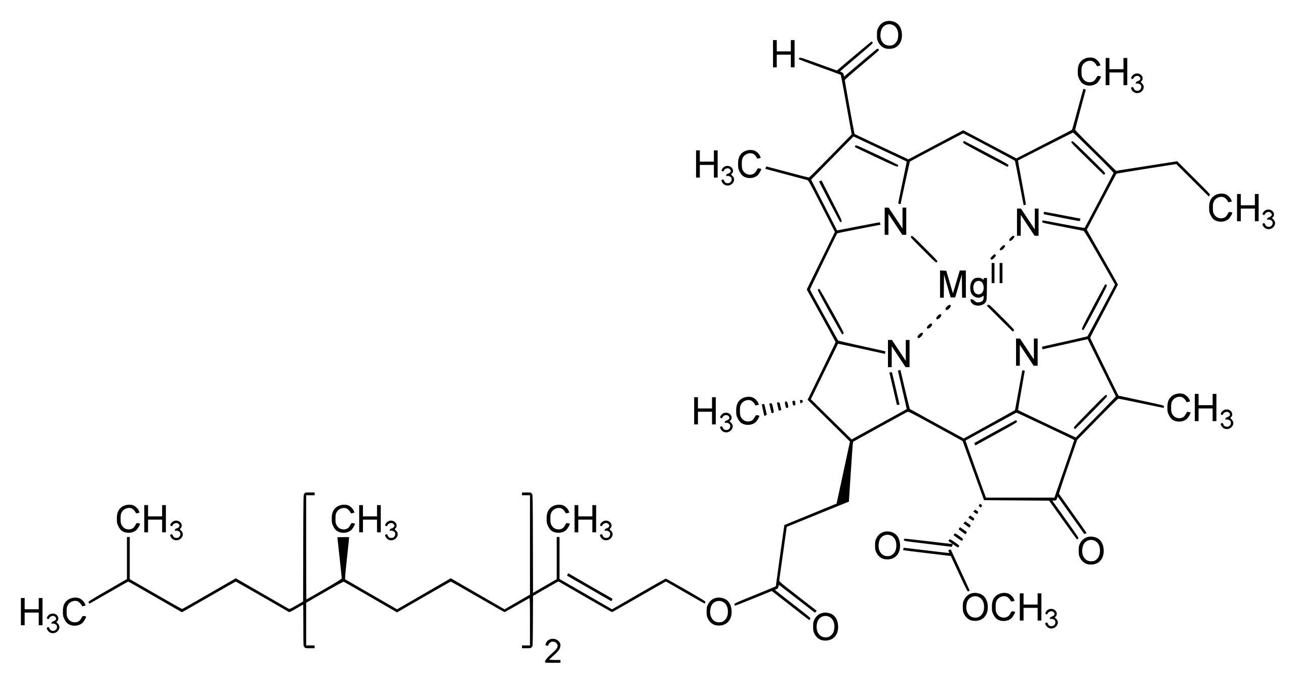 chlorophyll-d-analysis-service1.png