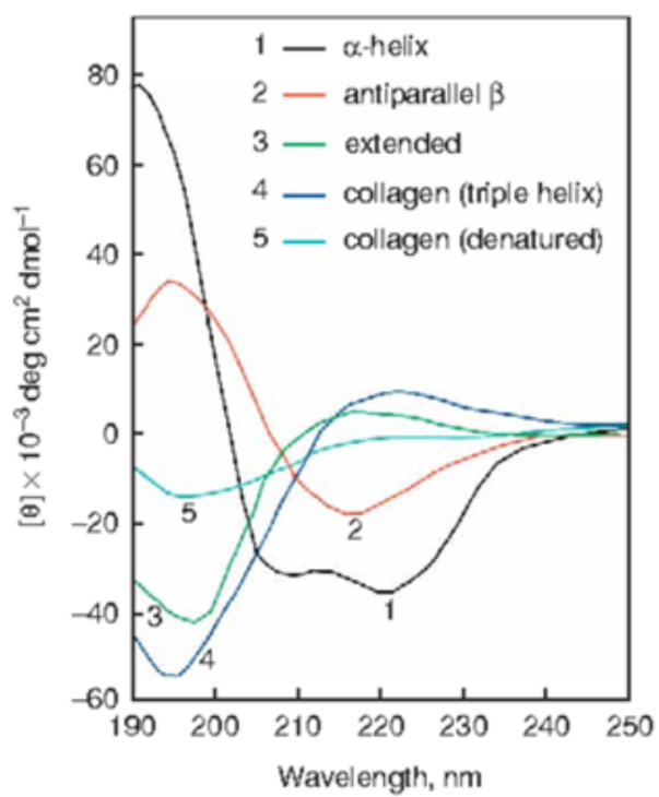 circular-dichroism-spectrum-analysis1.png
