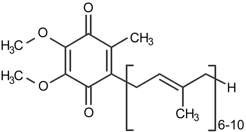 coenzyme-q10-analysis-service1.png