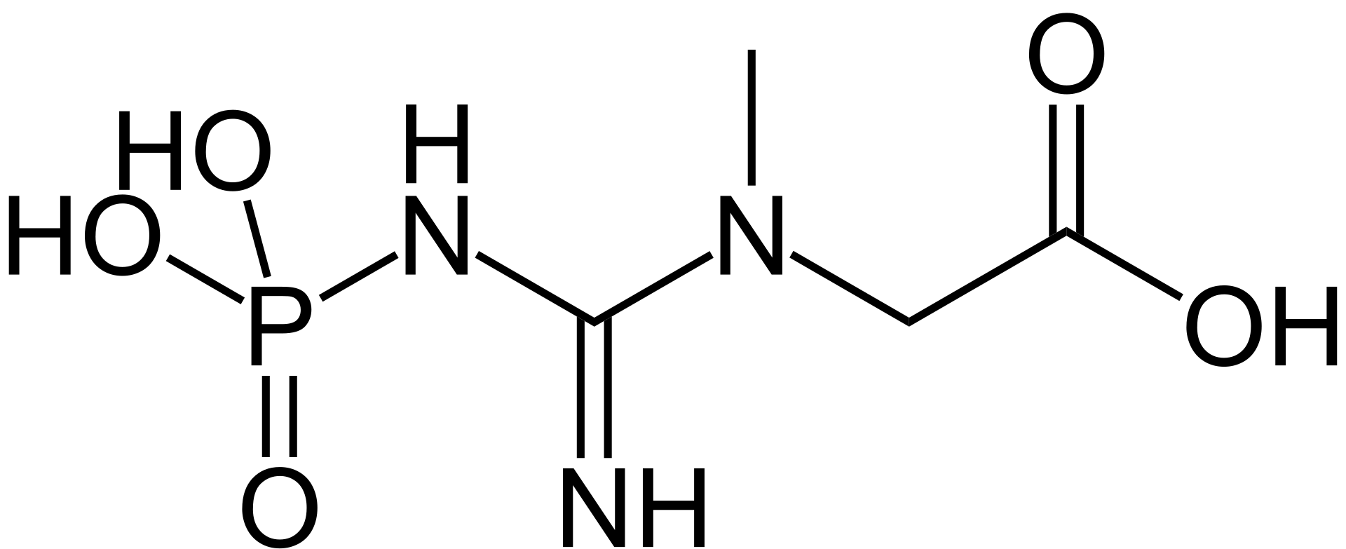 creatine-phosphate-analysis-service1.png