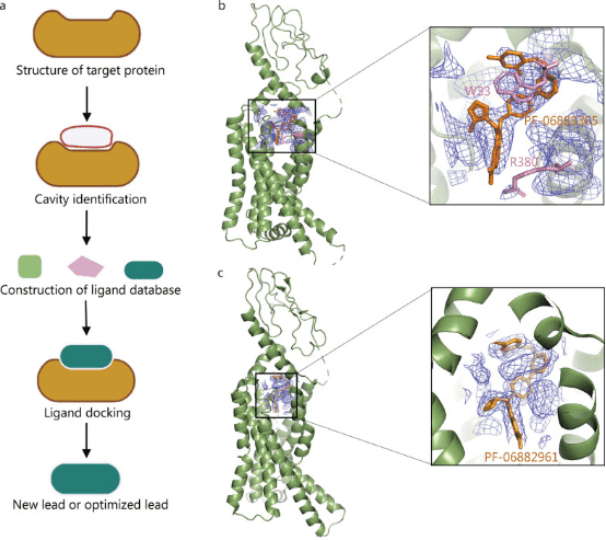 cryo-electron-microscopy-based-drug-design-service1.png