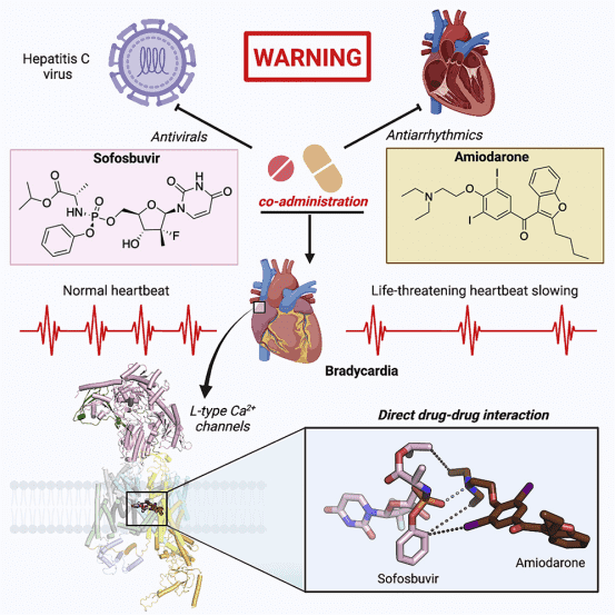 cryo-electron-microscopy-based-drug-design-service10.png